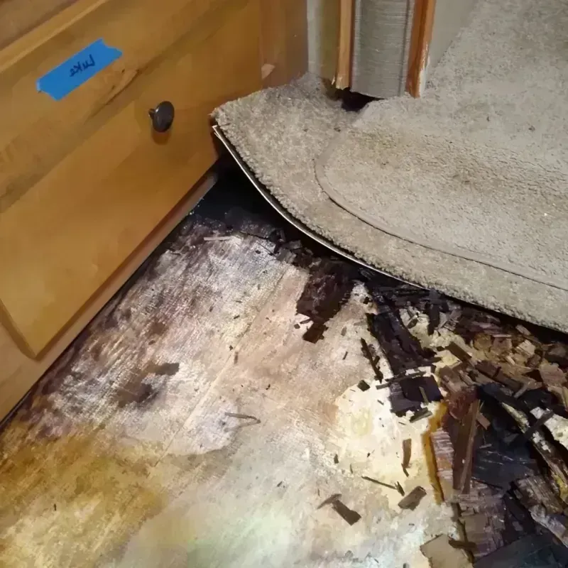 Wood Floor Water Damage in Plymouth, MN